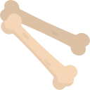 Bone Grafting