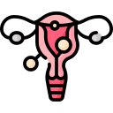 Uterine Fibroids
