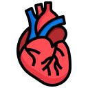 Heart Attack