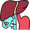 Gallbladder