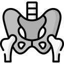 Hip Replacement